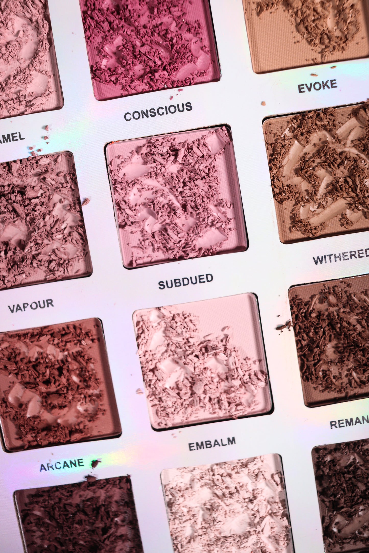 Ellis V2: 30 Pan Matte Palette