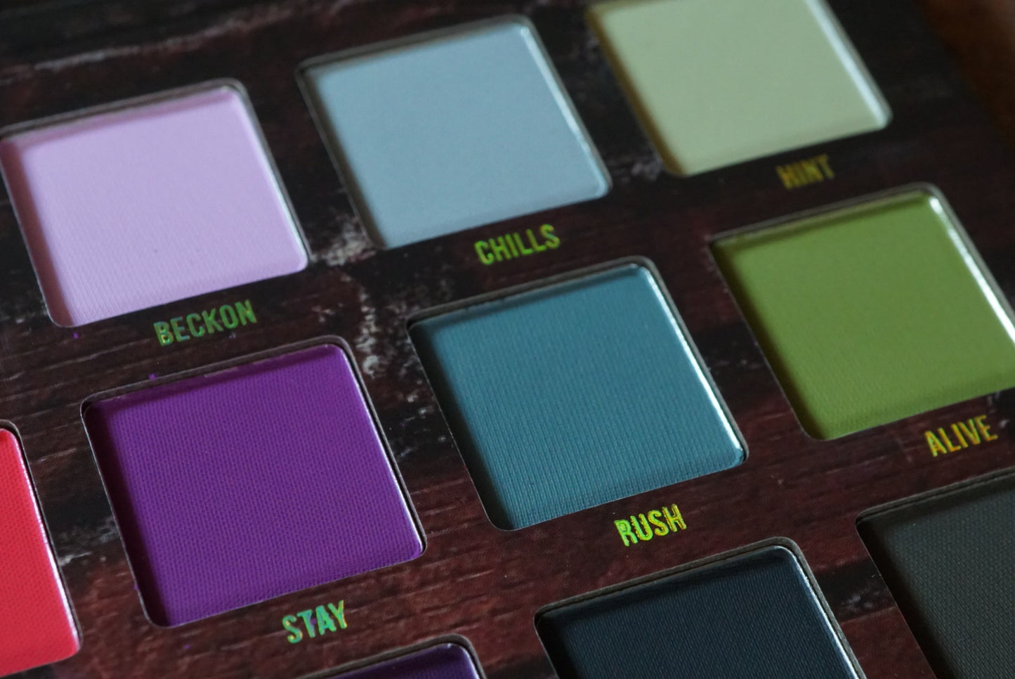 Surge Palette