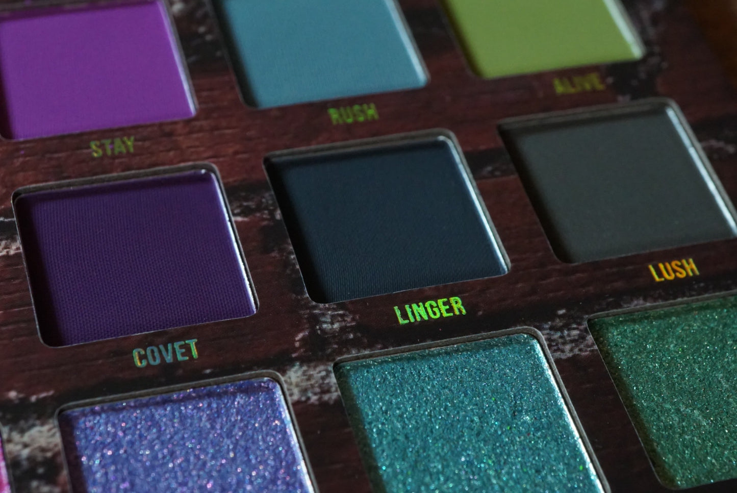 Surge Palette