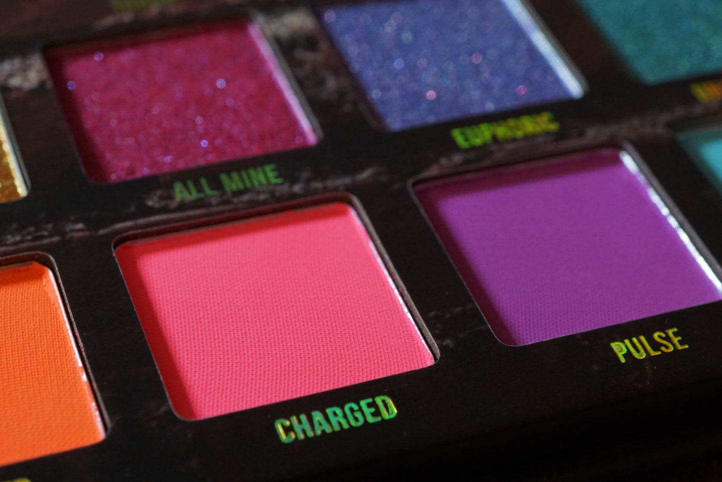 Surge Palette