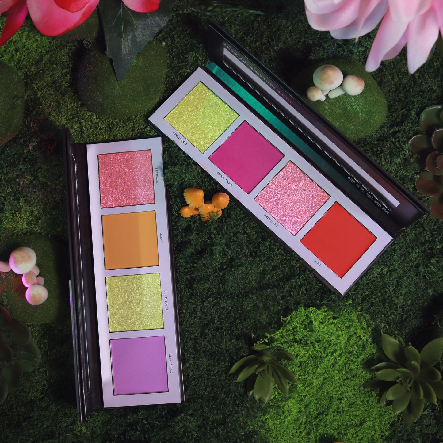 MASTERCLASS PSILOCYBIN CHEEK PALETTE X04 SHADES (MAGNETIC)