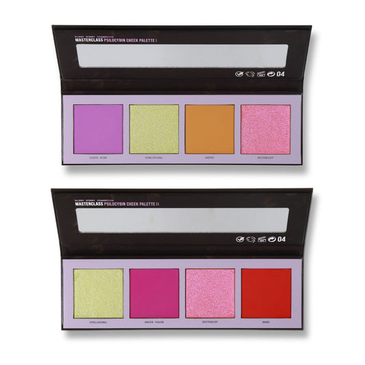 MASTERCLASS PSILOCYBIN CHEEK PALETTE X04 SHADES (MAGNETIC)