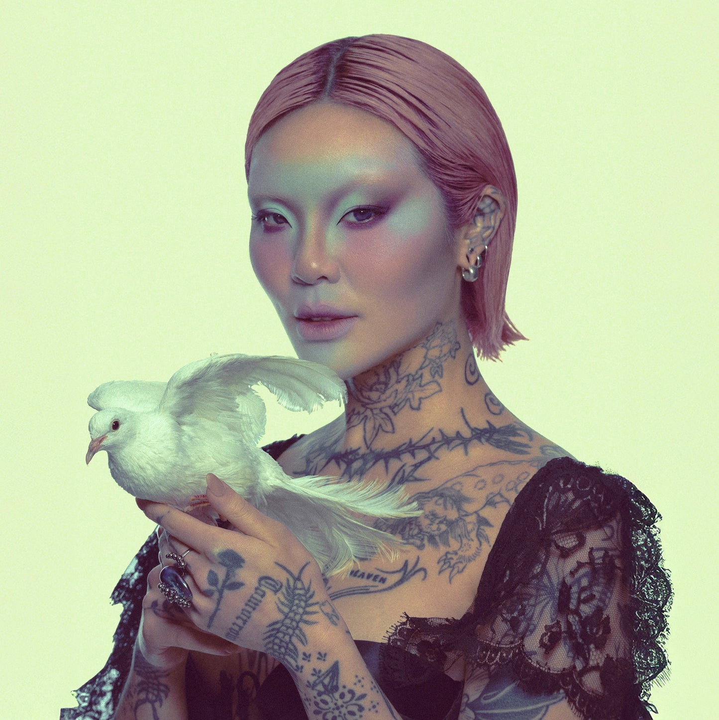 MEI PANG X BLEND BUNNY FAUNA PALETTE (MAGNETIC PANS)