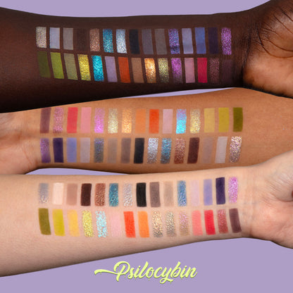 PSILOCYBIN ARTISTRY PALETTE (MAGNETIC)